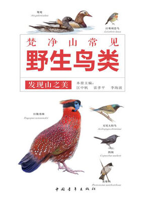 cover image of 发现山之美